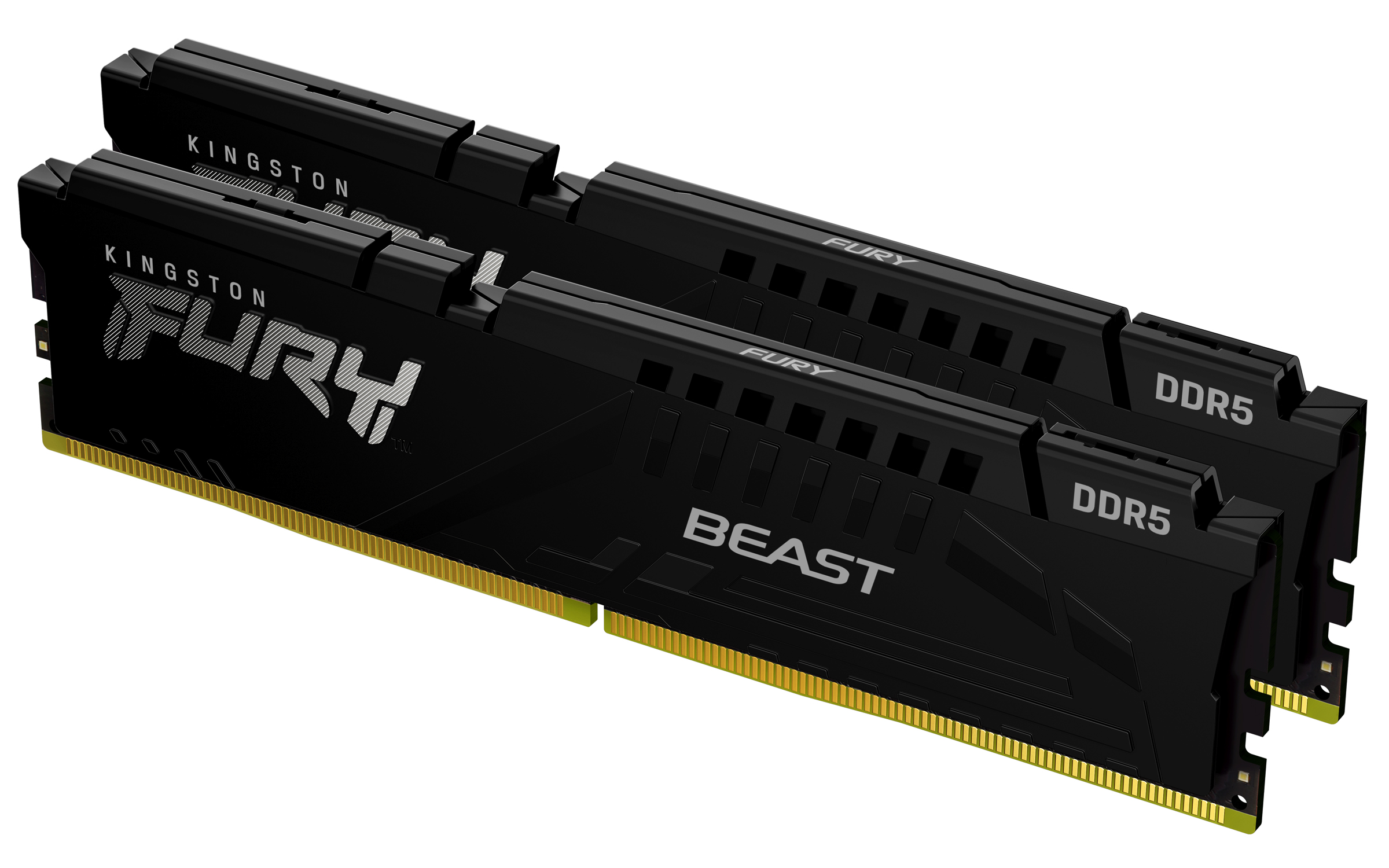 Kingston FURY Beast/DDR5/16GB/5600MHz/CL40/2x8GB/Black