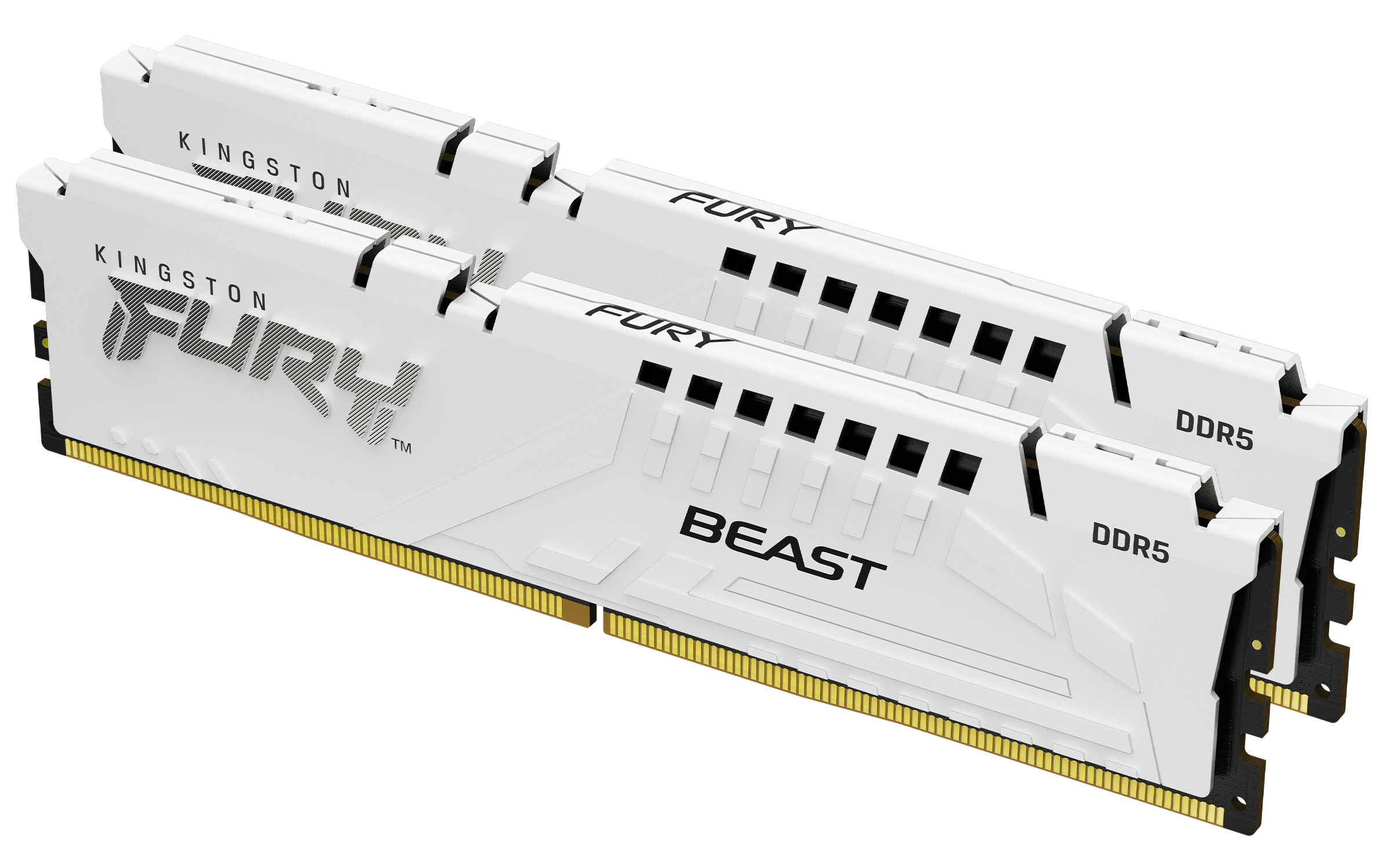 Kingston FURY Beast EXPO/DDR5/64GB/6400MHz/CL32/2x32GB/White