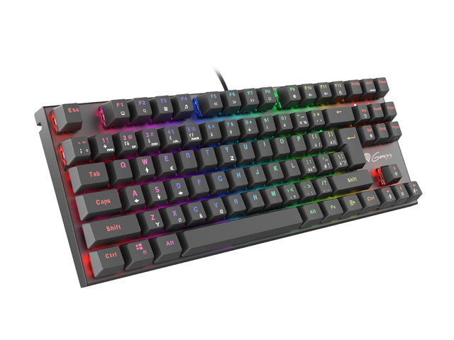Genesis herní mechanická klávesnice THOR 300/RGB/Outemu Red/Drátová USB/CZ/SK layout/Černá