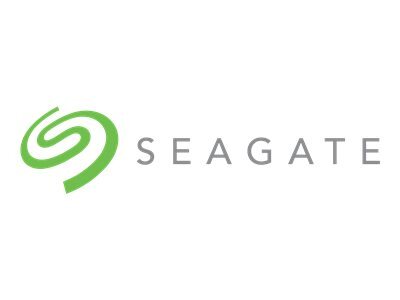 Seagate Expansion STKP24000400