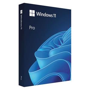 Windows 11 Pro FPP 64-bit Czech USB