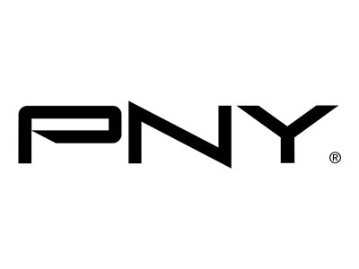 PNY TECHNO, miniDP to HDMI 96mm